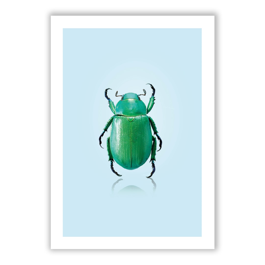 the Beetle